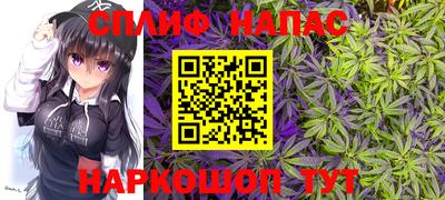 гидропоника Малгобек
