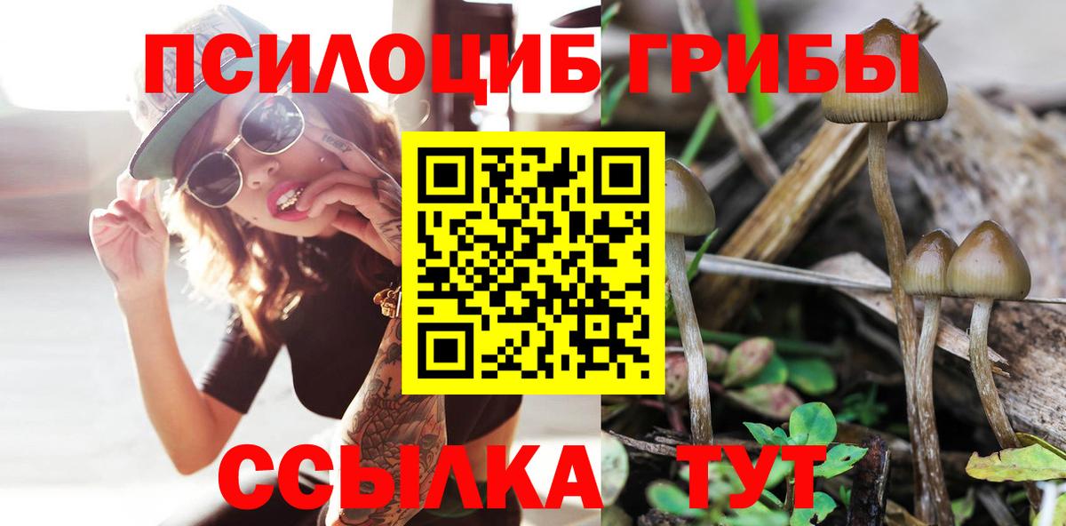 продажа наркотиков  Галлюциногенные грибы Psilocybe  Вход с VPN  Бор 